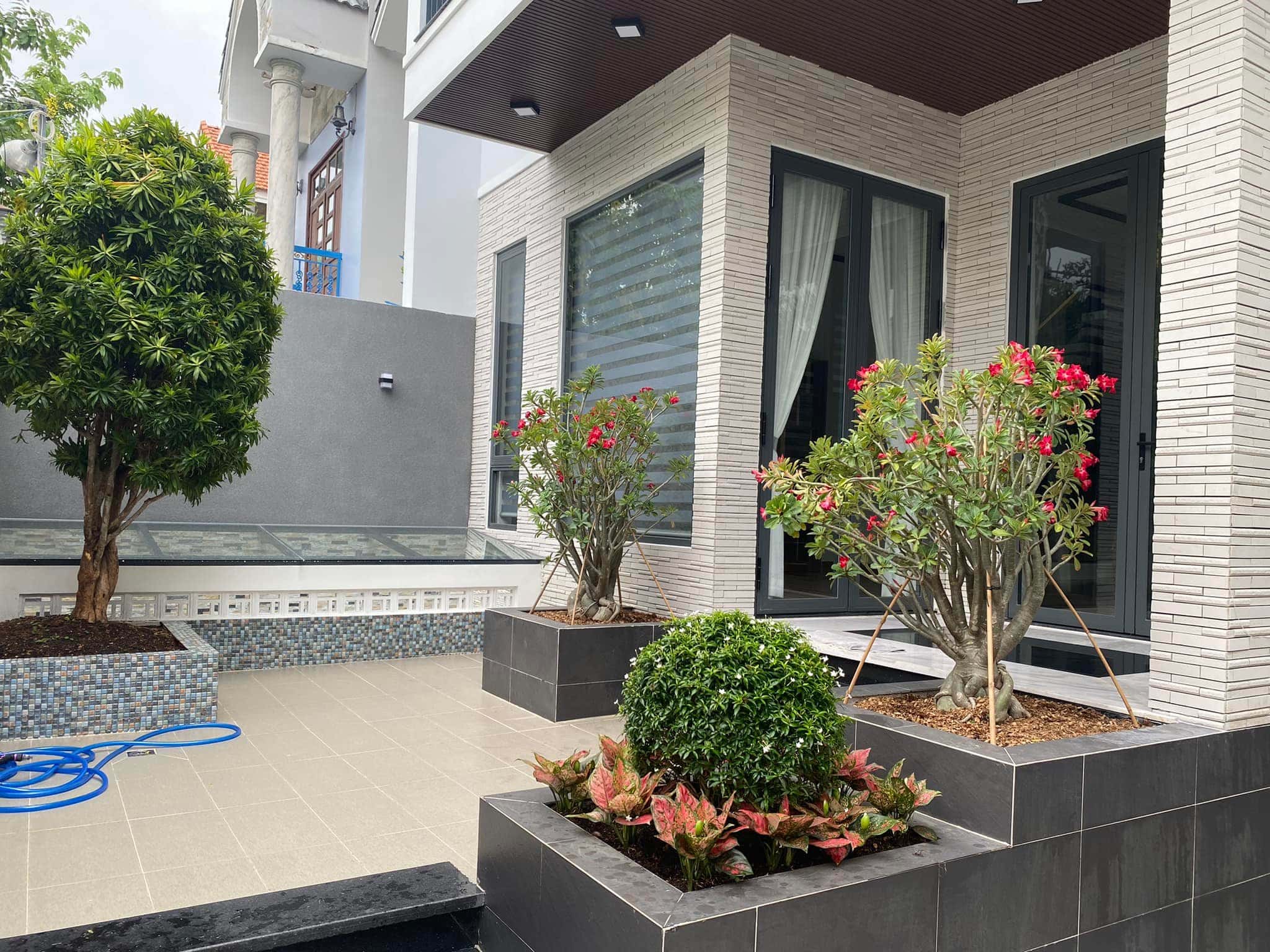 Hình 17
