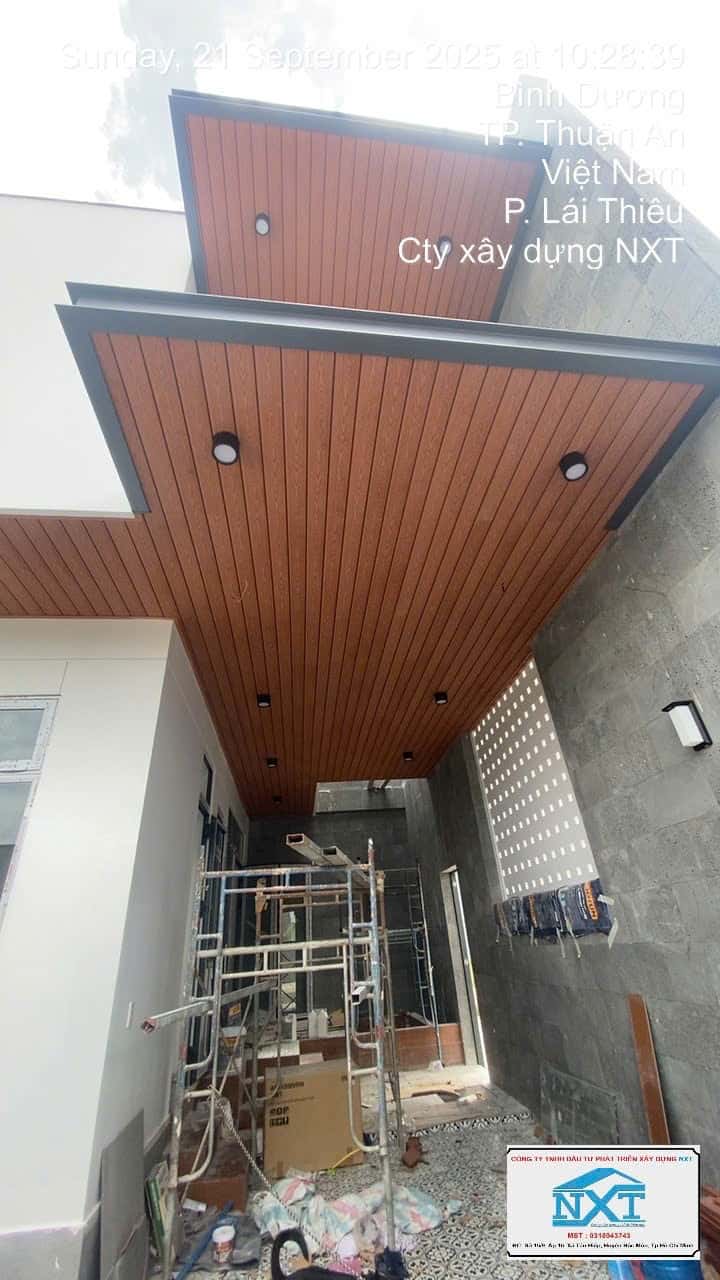 Hình 20